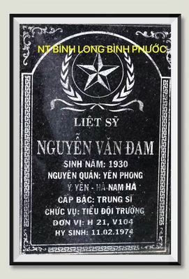 Ảnh bia mộ của liệt sĩ Nguyễn Văn Đạm