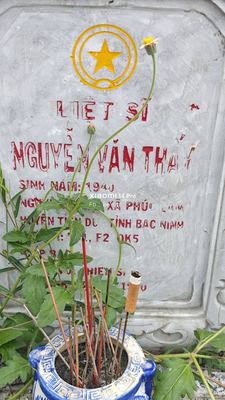 Bia mộ tại Nghĩa trang xã Bình Định - Huyện Thăng Bình - Quảng Nam · ảnh: Be You — liệt sĩ Nguyễn Văn Thấy